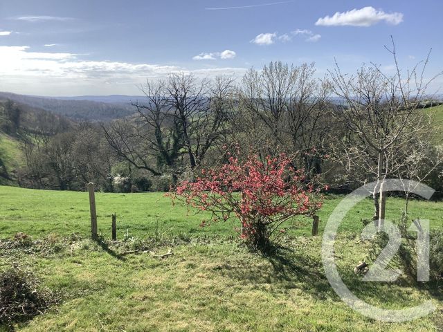 maison à vendre - 7 pièces - 125.0 m2 - LORMES - 58 - BOURGOGNE - Century 21 Agence Ducreux