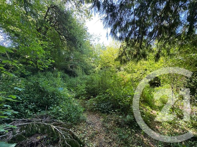 maison à vendre - 3 pièces - 74.29 m2 - CORANCY - 58 - BOURGOGNE - Century 21 Agence Ducreux