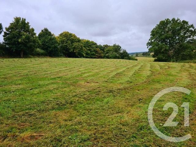 maison à vendre - 4 pièces - 99.81 m2 - ACHUN - 58 - BOURGOGNE - Century 21 Agence Ducreux