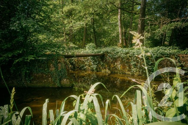 maison à vendre - 12 pièces - 340.2 m2 - MOURON SUR YONNE - 58 - BOURGOGNE - Century 21 Agence Ducreux