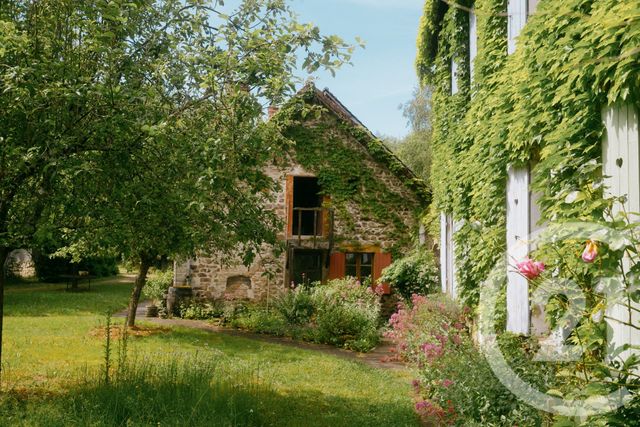 maison à vendre - 12 pièces - 340.2 m2 - MOURON SUR YONNE - 58 - BOURGOGNE - Century 21 Agence Ducreux