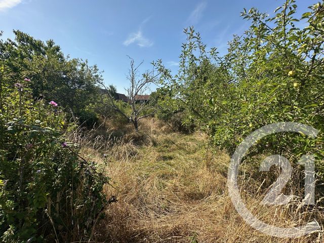 maison à vendre - 4 pièces - 73.39 m2 - GUIPY - 58 - BOURGOGNE - Century 21 Agence Ducreux