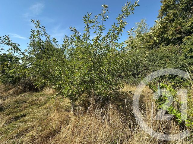 maison à vendre - 4 pièces - 73.39 m2 - GUIPY - 58 - BOURGOGNE - Century 21 Agence Ducreux