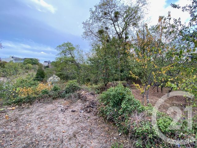 Afficher la photo en grand terrain à vendre - 2155.0 m2 - CLAMECY - 58 - BOURGOGNE - Century 21 Agence Ducreux