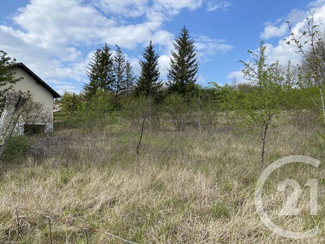 terrain à vendre - 5674.0 m2 - ANDRYES - 89 - BOURGOGNE - Century 21 Agence Ducreux terrain à vendre - 5674.0 m2 - ANDRYES - 89 - BOURGOGNE - Century 21 Agence Ducreux
