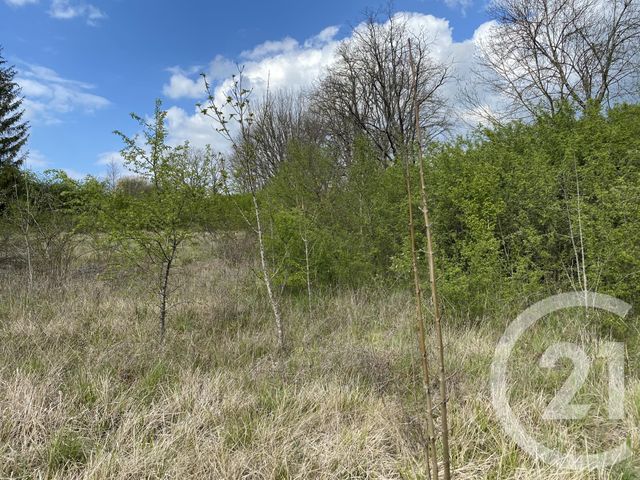 terrain à vendre - 5674.0 m2 - ANDRYES - 89 - BOURGOGNE - Century 21 Agence Ducreux terrain à vendre - 5674.0 m2 - ANDRYES - 89 - BOURGOGNE - Century 21 Agence Ducreux