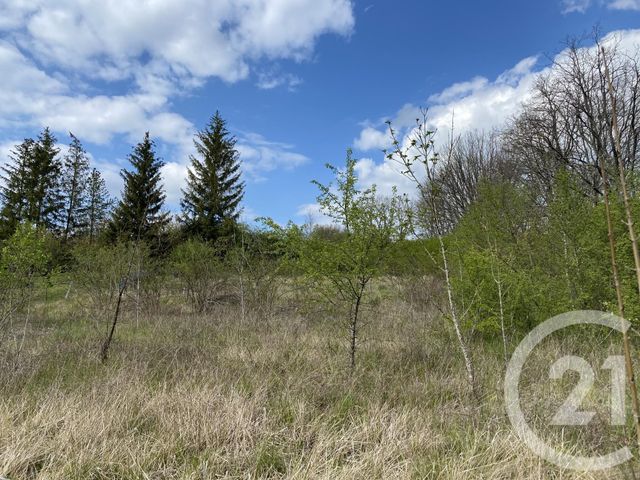 terrain à vendre - 5674.0 m2 - ANDRYES - 89 - BOURGOGNE - Century 21 Agence Ducreux terrain à vendre - 5674.0 m2 - ANDRYES - 89 - BOURGOGNE - Century 21 Agence Ducreux