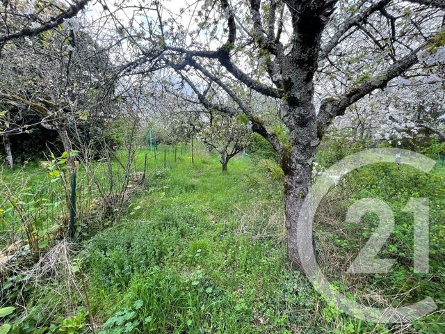 maison à vendre - 4 pièces - 92.67 m2 - TANNAY - 58 - BOURGOGNE - Century 21 Agence Ducreux