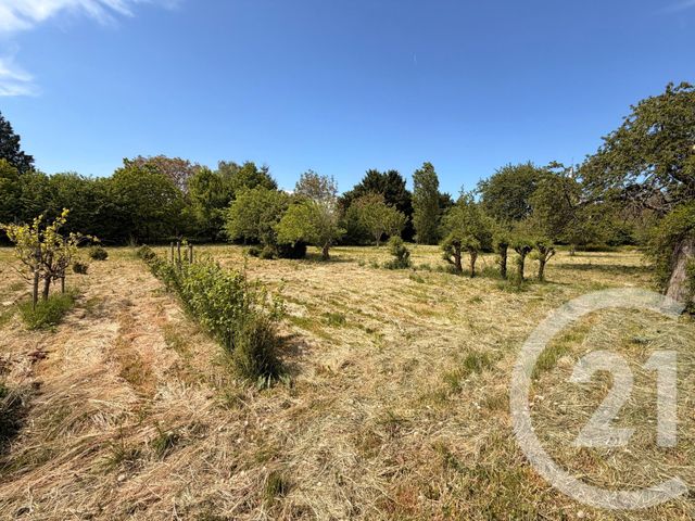 maison à vendre - 6 pièces - 101.0 m2 - ARZEMBOUY - 58 - BOURGOGNE - Century 21 Agence Ducreux