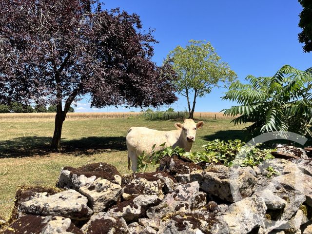 Afficher la photo en grand maison à vendre - 6 pièces - 126.81 m2 - CHAMPLEMY - 58 - BOURGOGNE - Century 21 Agence Ducreux