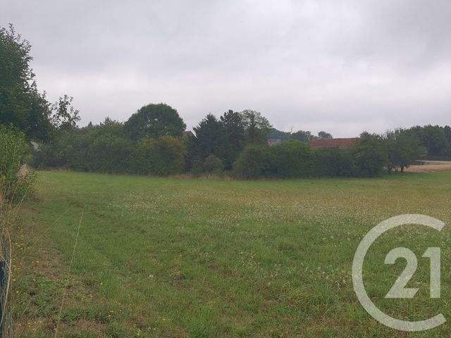 maison à vendre - 4 pièces - 60.14 m2 - SOUGERES EN PUISAYE - 89 - BOURGOGNE - Century 21 Agence Ducreux