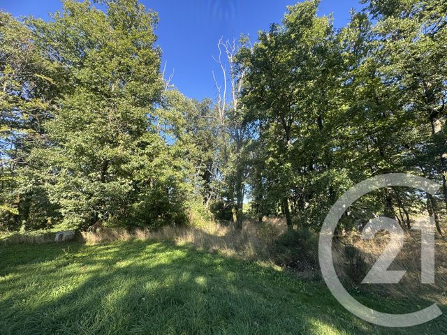 maison à vendre - 7 pièces - 219.0 m2 - ETAIS LA SAUVIN - 89 - BOURGOGNE - Century 21 Agence Ducreux