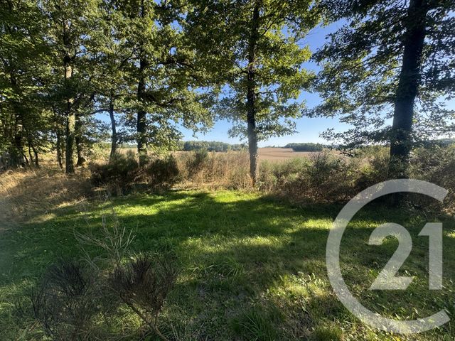 maison à vendre - 7 pièces - 219.0 m2 - ETAIS LA SAUVIN - 89 - BOURGOGNE - Century 21 Agence Ducreux