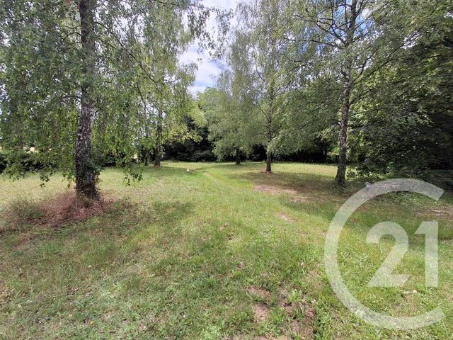 maison à vendre - 7 pièces - 152.0 m2 - ETAIS LA SAUVIN - 89 - BOURGOGNE - Century 21 Agence Ducreux