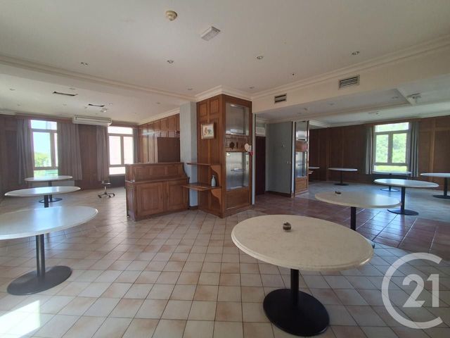 maison à vendre - 43 pièces - 3420.0 m2 - LAINSECQ - 89 - BOURGOGNE - Century 21 Agence Ducreux