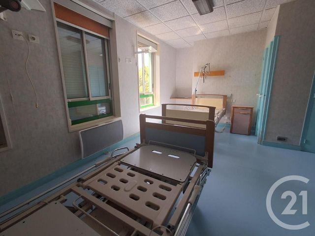 maison à vendre - 43 pièces - 3420.0 m2 - LAINSECQ - 89 - BOURGOGNE - Century 21 Agence Ducreux