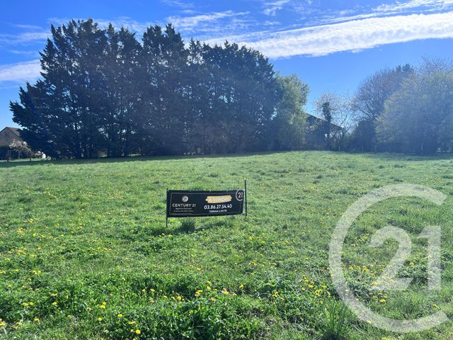 terrain - ANDRYES - 89