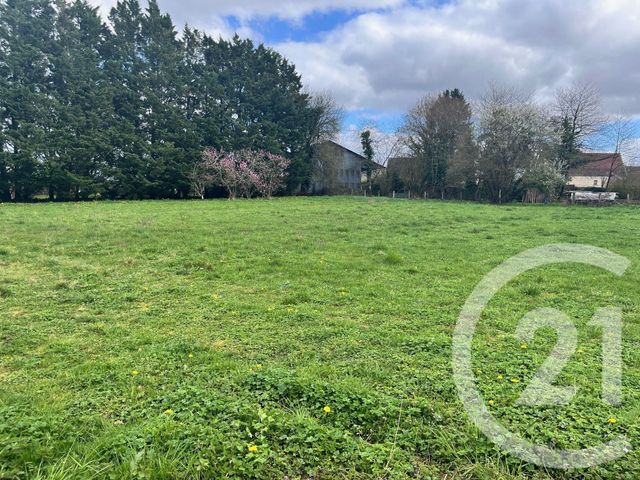 terrain - ANDRYES - 89