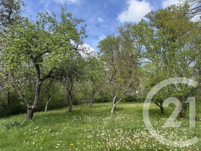 maison à vendre - 3 pièces - 120.12 m2 - COURCELLES - 58 - BOURGOGNE - Century 21 Agence Ducreux