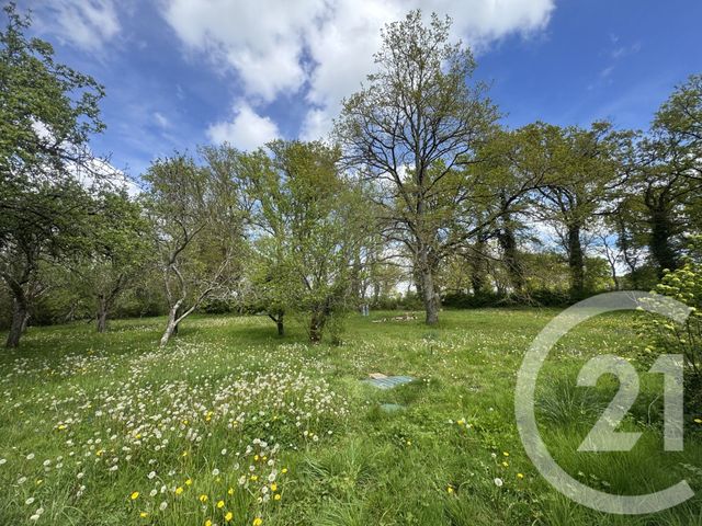 maison à vendre - 3 pièces - 120.12 m2 - COURCELLES - 58 - BOURGOGNE - Century 21 Agence Ducreux