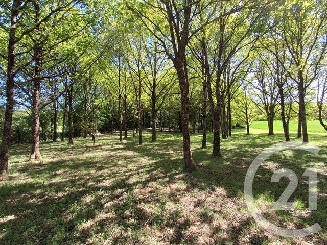 maison à vendre - 7 pièces - 206.2 m2 - ETAIS LA SAUVIN - 89 - BOURGOGNE - Century 21 Agence Ducreux