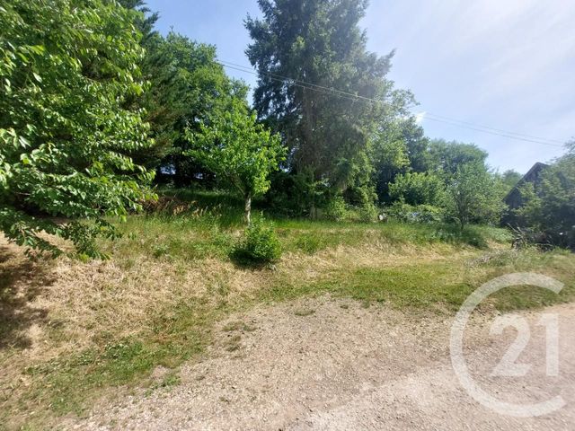 maison à vendre - 5 pièces - 134.29 m2 - LICHERES SUR YONNE - 89 - BOURGOGNE - Century 21 Agence Ducreux