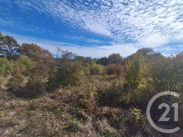 maison à vendre - 3 pièces - 76.7 m2 - SOUGERES EN PUISAYE - 89 - BOURGOGNE - Century 21 Agence Ducreux