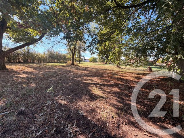 terrain à vendre - 2449.0 m2 - SURGY - 58 - BOURGOGNE - Century 21 Agence Ducreux